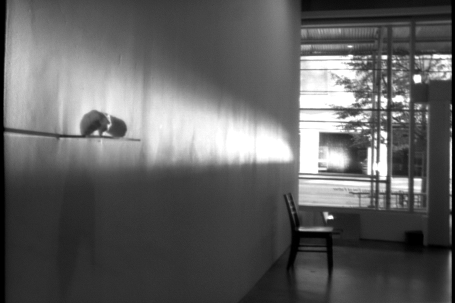 The Act, "Directing Light onto Fist of Father" (Performance, 30 unconsecutive days) 2011